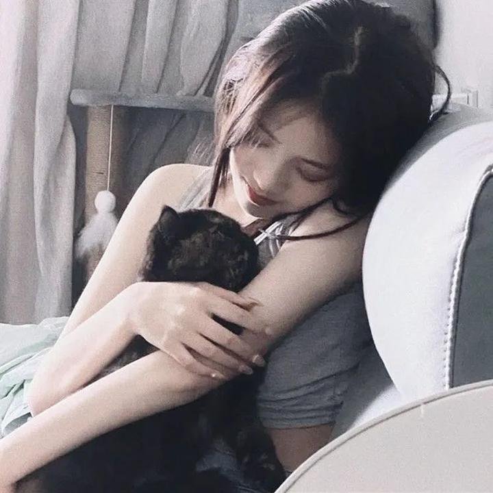 春满兰宫
